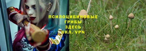 Альфа ПВП Аркадак