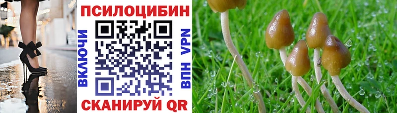 закладка  Яровое  shop наркотические препараты  Псилоцибиновые грибы MAGIC MUSHROOMS 
